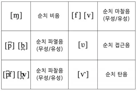 파일:=_utf-8_B_TGFiaW_igItkZW50YWwudzQ4MC5qcGc=_=.jpg