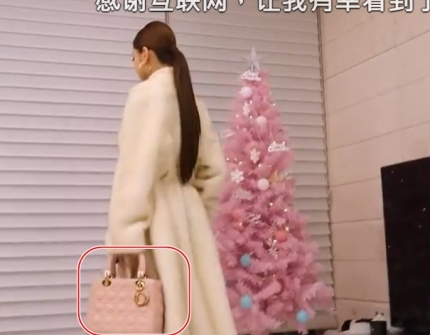 파일:송지아 디올 가품 레이디 디올 백 미듐2.jpg