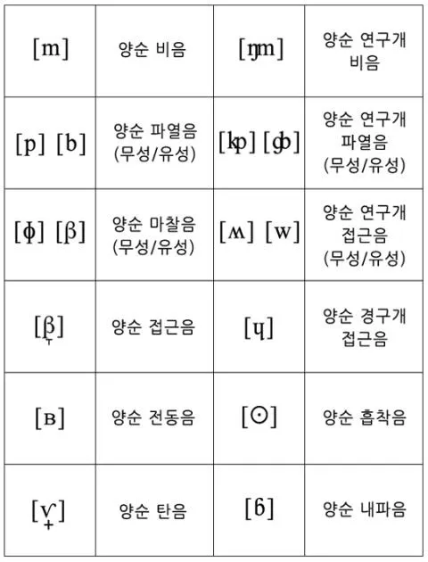 파일:attachment:Bilabial.jpg