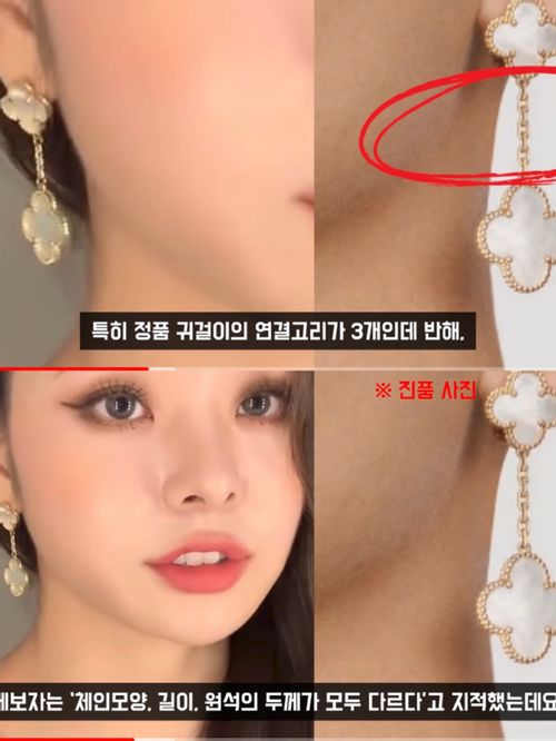 파일:송지아 반 클리프 앤 아펠 가품 귀걸이.jpg