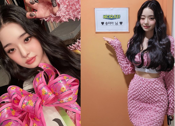 파일:송지아 알렉산더 왕 가품 셋업.png