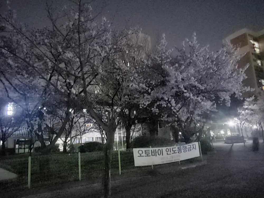 파일:20240407-214624.jpg