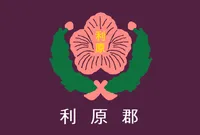 파일:이원군 군기.png