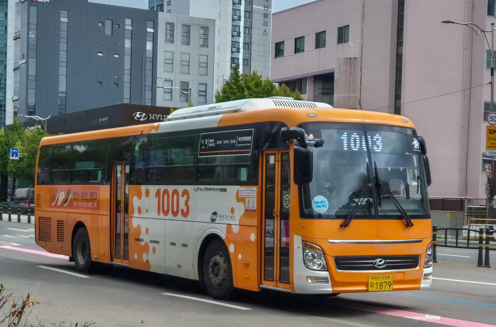 파일:부산 1003 1879.jpg