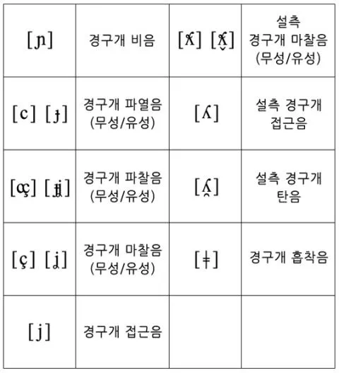 파일:attachment:Palatal.jpg