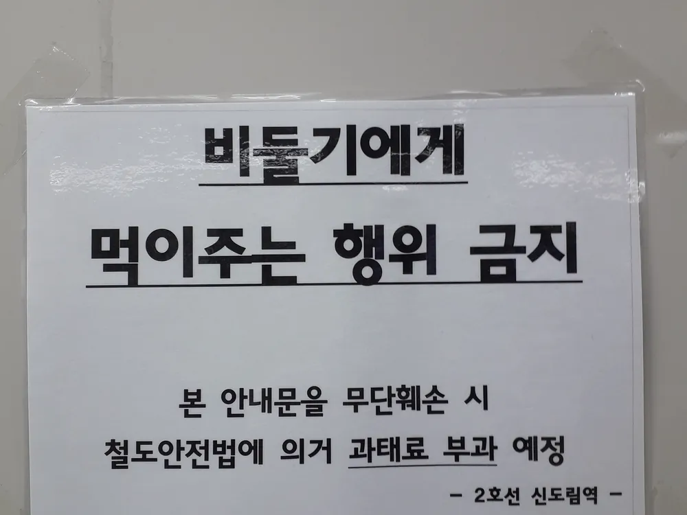 파일:비둘기에게 먹이 주지 마세요 신도림역.jpg