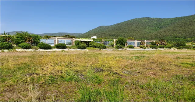 파일:돌산초등학교대신분교장.png