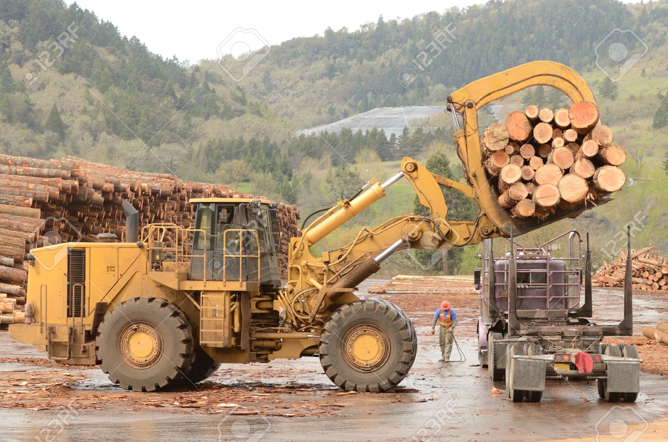 파일:external/previews.123rf.com/20823721-A-large-wheeled-front-end-log-loader-unloading-a-log-truck-at-a-log-yard-at-a-lumber-processing-mill-Stock-Photo.jpg