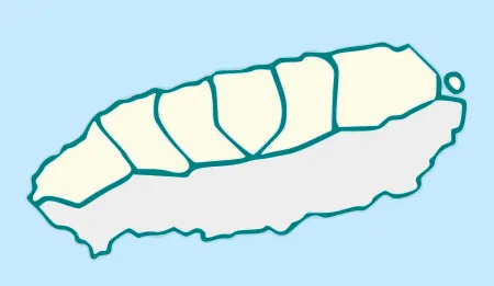 파일:external/upload.wikimedia.org/450px-Map_Jeju-si.svg.png