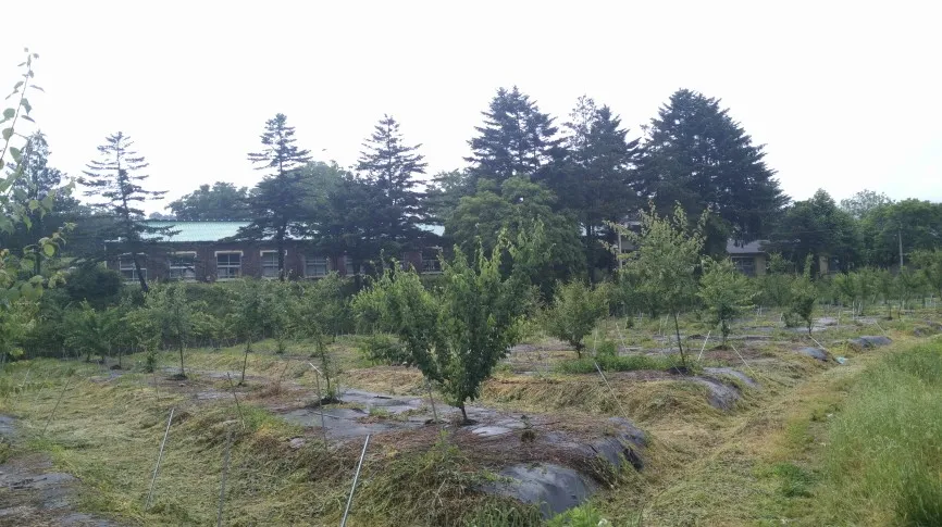 파일:임실서초등학교.jpg