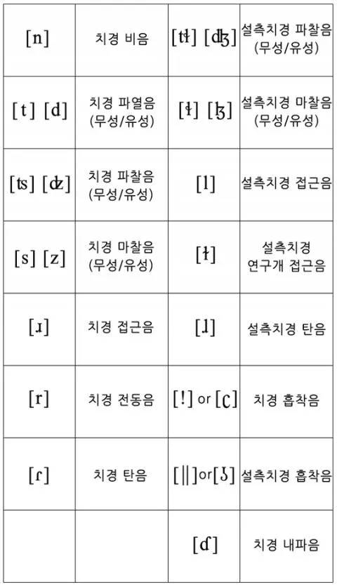 파일:attachment:Alveolar.jpg