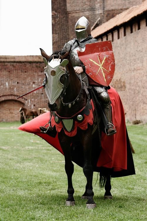 파일:819a1b00ee1803779d308f27ffc6f751--knights-medieval-arabian-knights.jpg