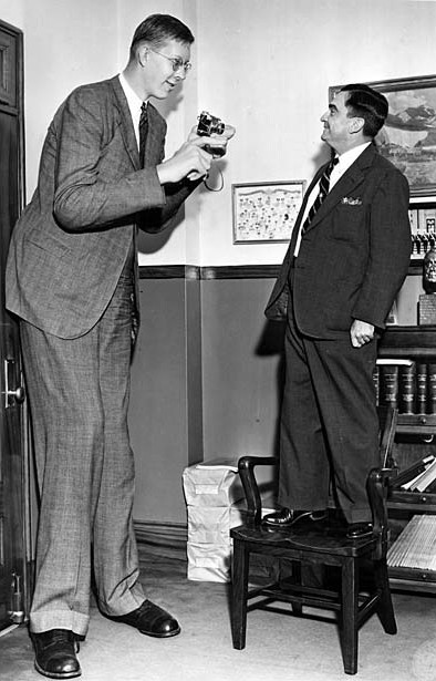 파일:wadlow.jpg