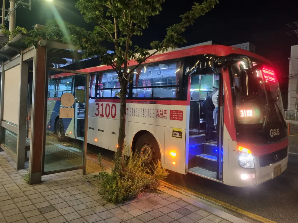 파일:3100_야간.jpg