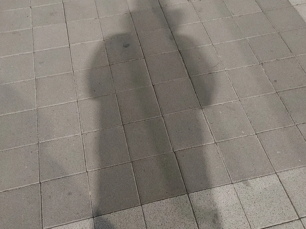 파일:0117_0328.jpg