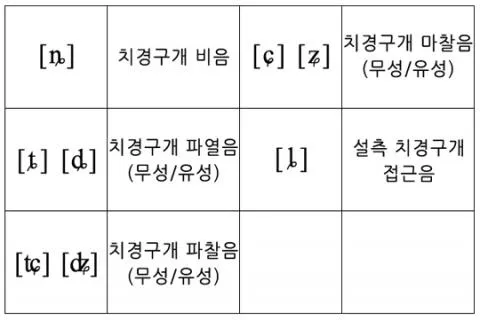 파일:attachment:Alveolopalatal.jpg