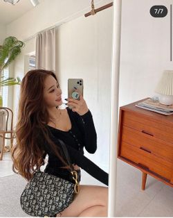 파일:송지아 디올 가품 오블리크 새들 핸드백1.jpg