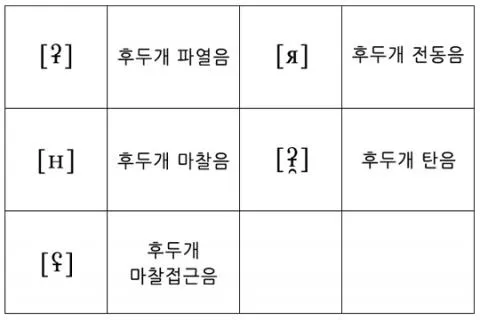 파일:attachment:Epiglottal.jpg