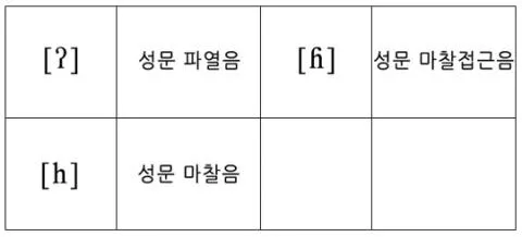 파일:attachment:Glottal.jpg