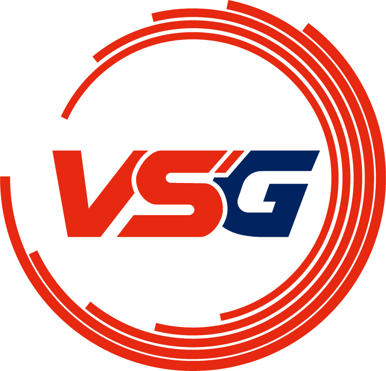 파일:Team_VSG.png