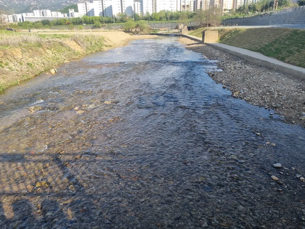 파일:창릉천 1.jpg