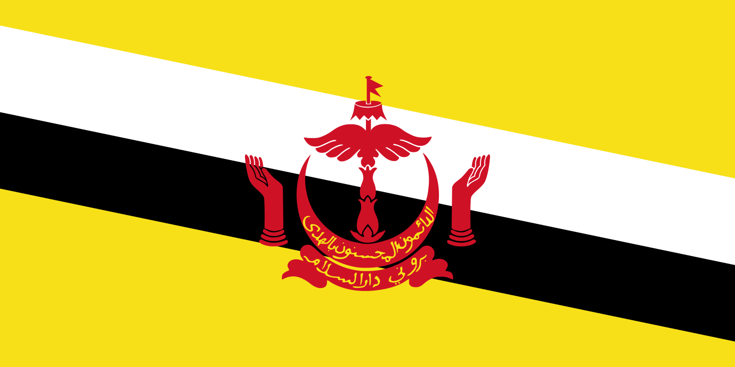 파일:브루나이 국기.png