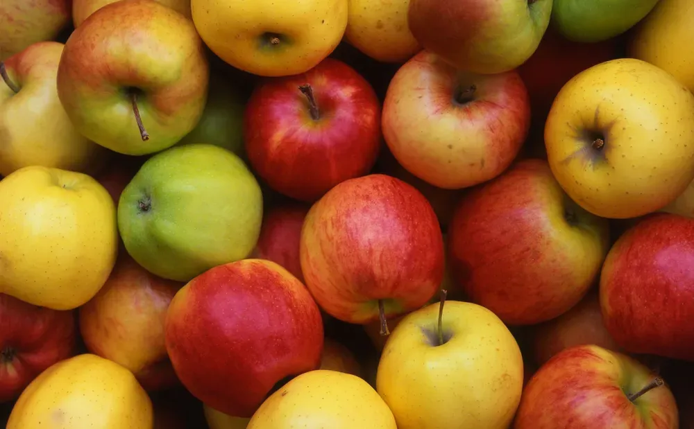 파일:사과 03.webp