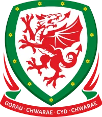 파일:Wales FAW.png