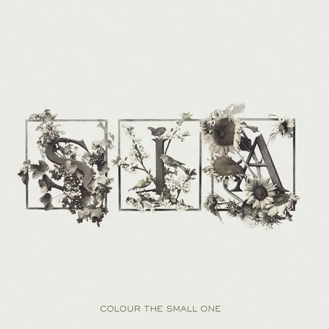 파일:Colour The Small One_bonus track version.jpg