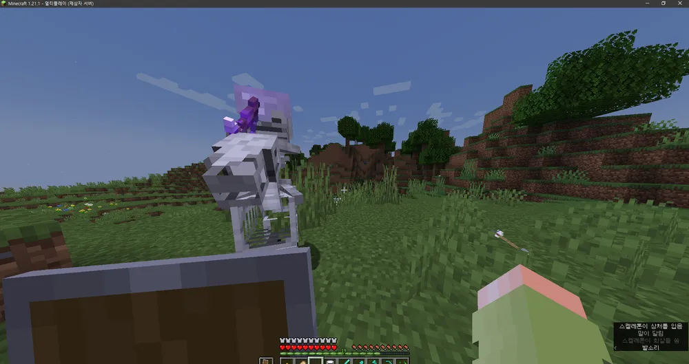 파일:Minecraft 1.21.1 - 멀티플레이 (제삼자 서버) 2024-08-31 오후 8_57_33.png