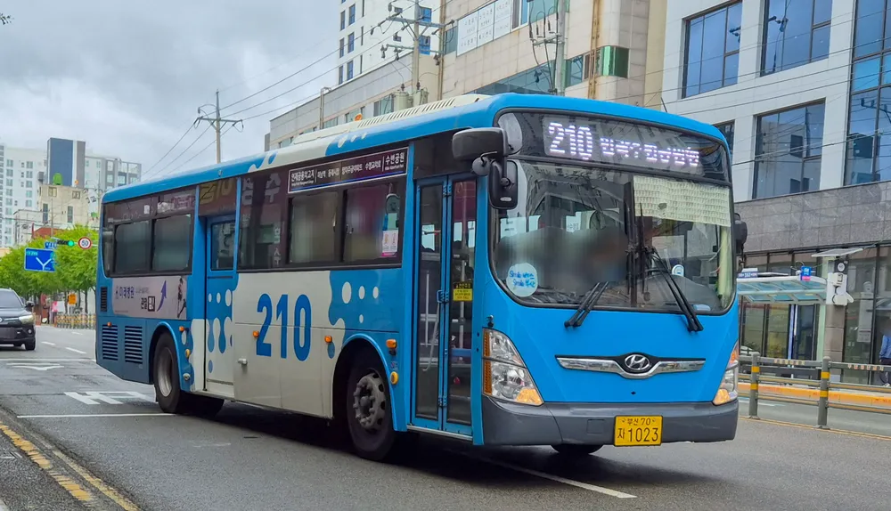 파일:부산 210 1023.jpg