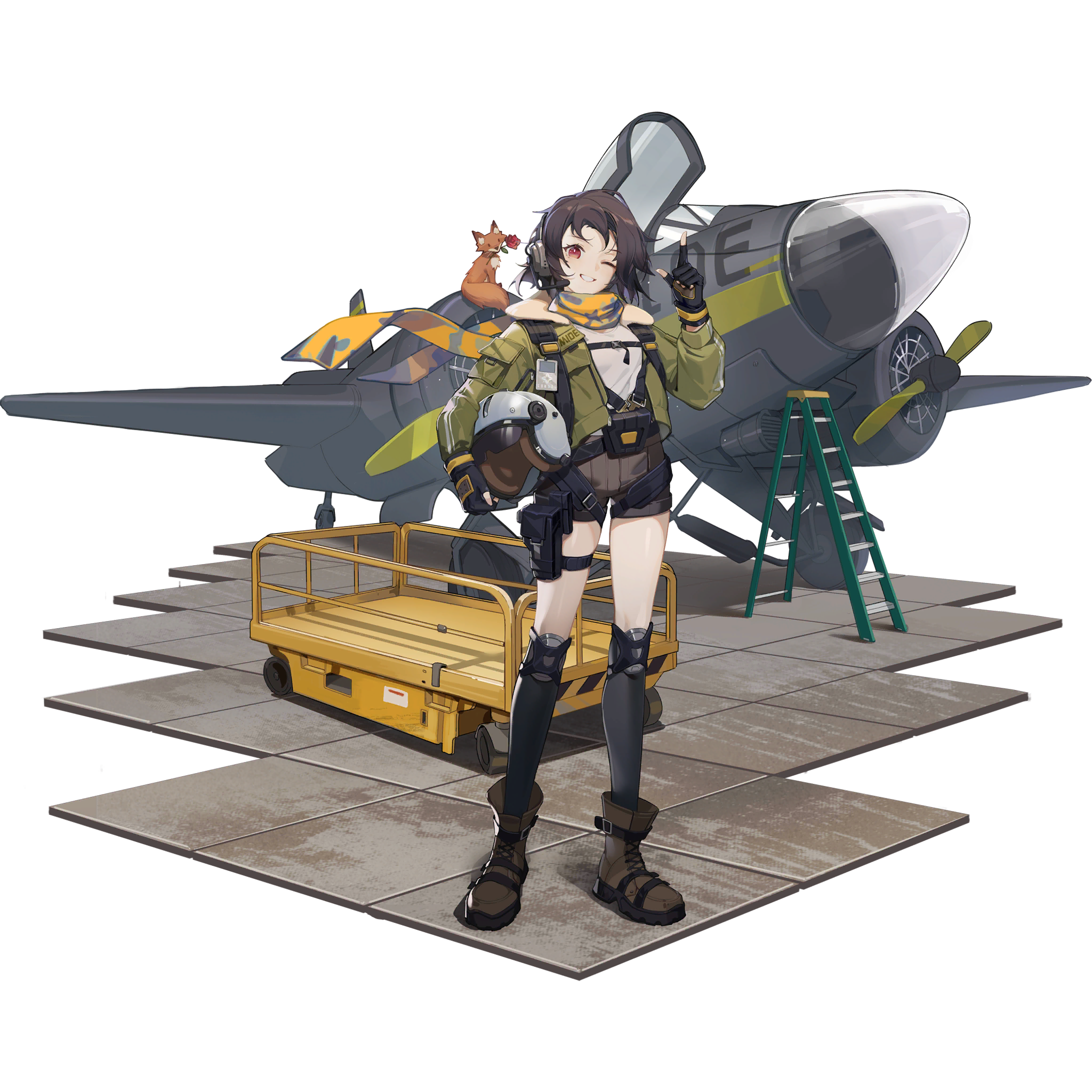 파일:PNC_Earhart_Evolution_1.png