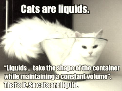 파일:cats_r_liquid.jpg