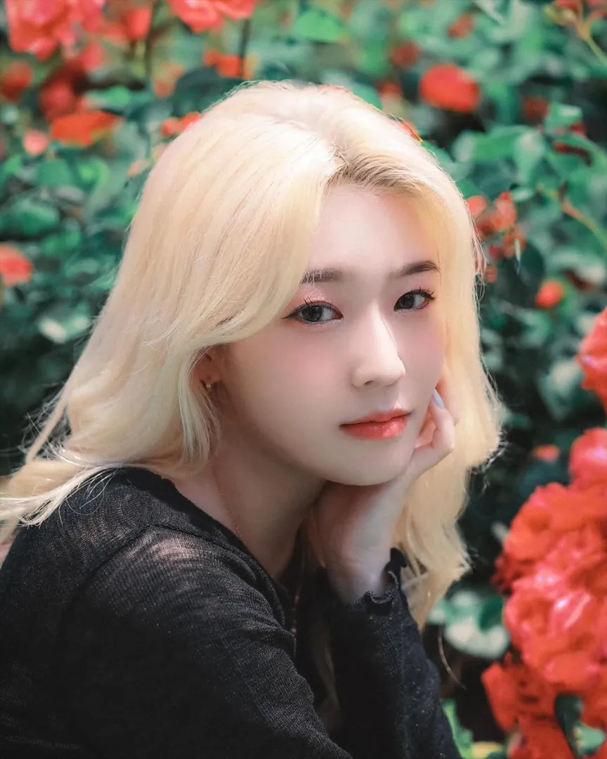 파일:서은수 프로필.png