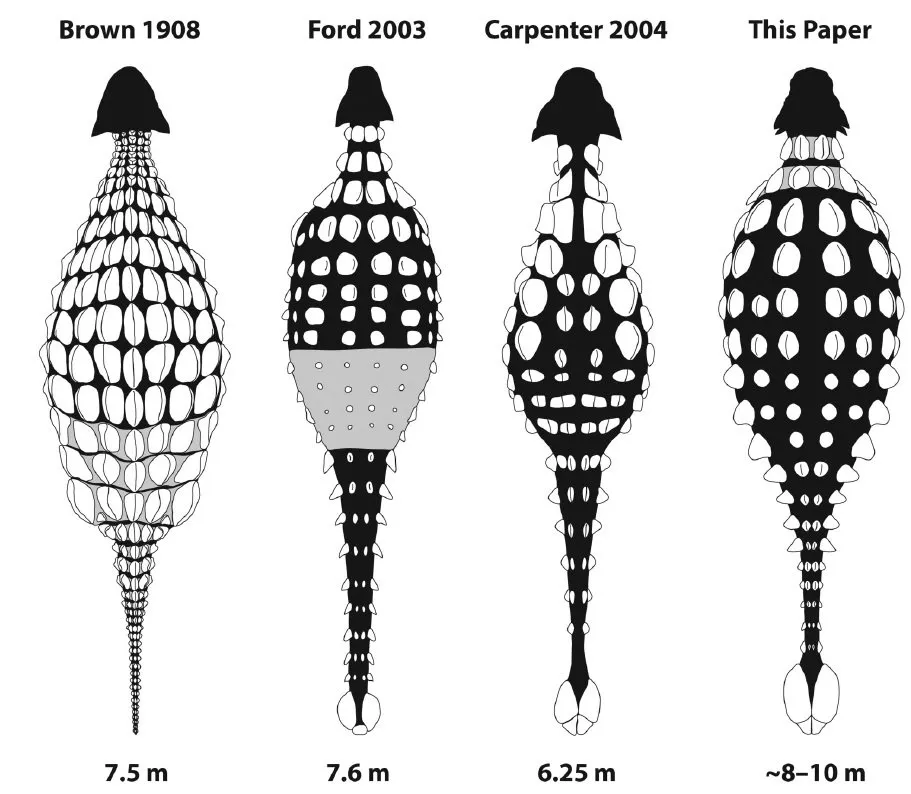 파일:안킬 복원도 변천.jpg