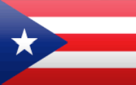파일:2009 WBC 푸에르토리코 기.png