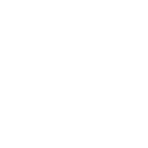 파일:spurslogo_white.png