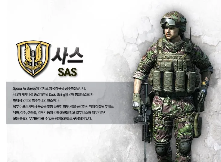 파일:external/c2.img.netmarble.kr/sas.jpg