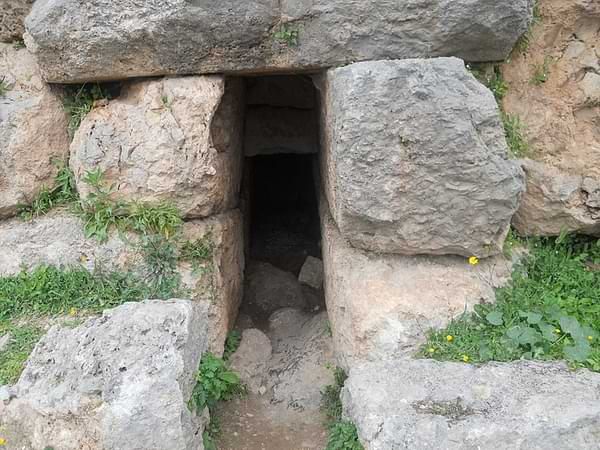 파일:SCP-5992.jpg