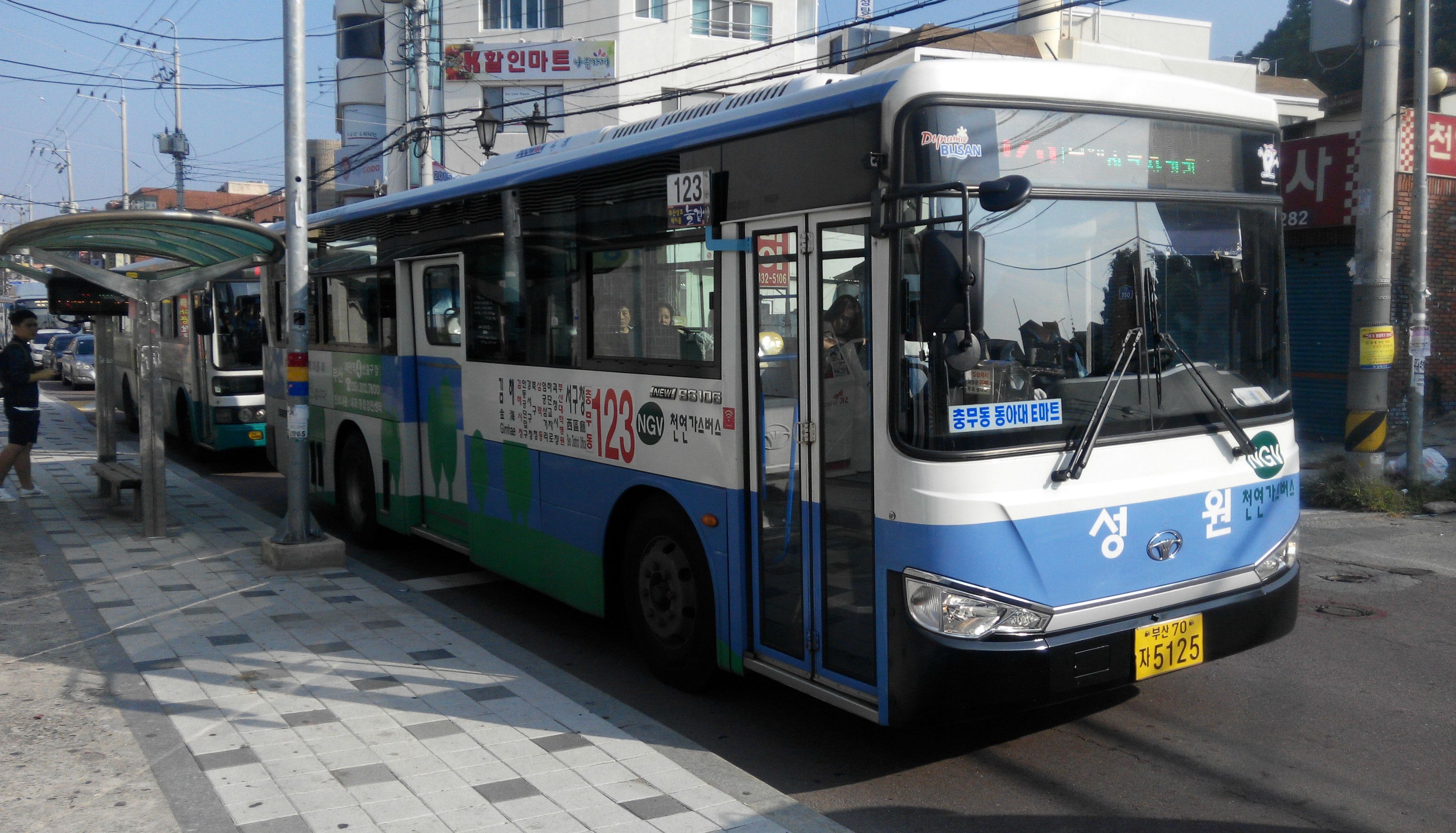 파일:부산 버스 123.jpg