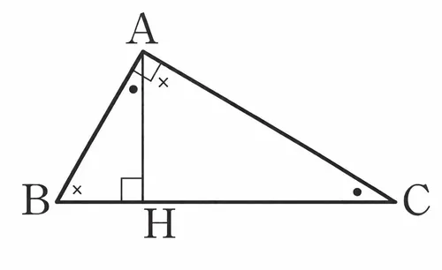 파일:사영 정리.png