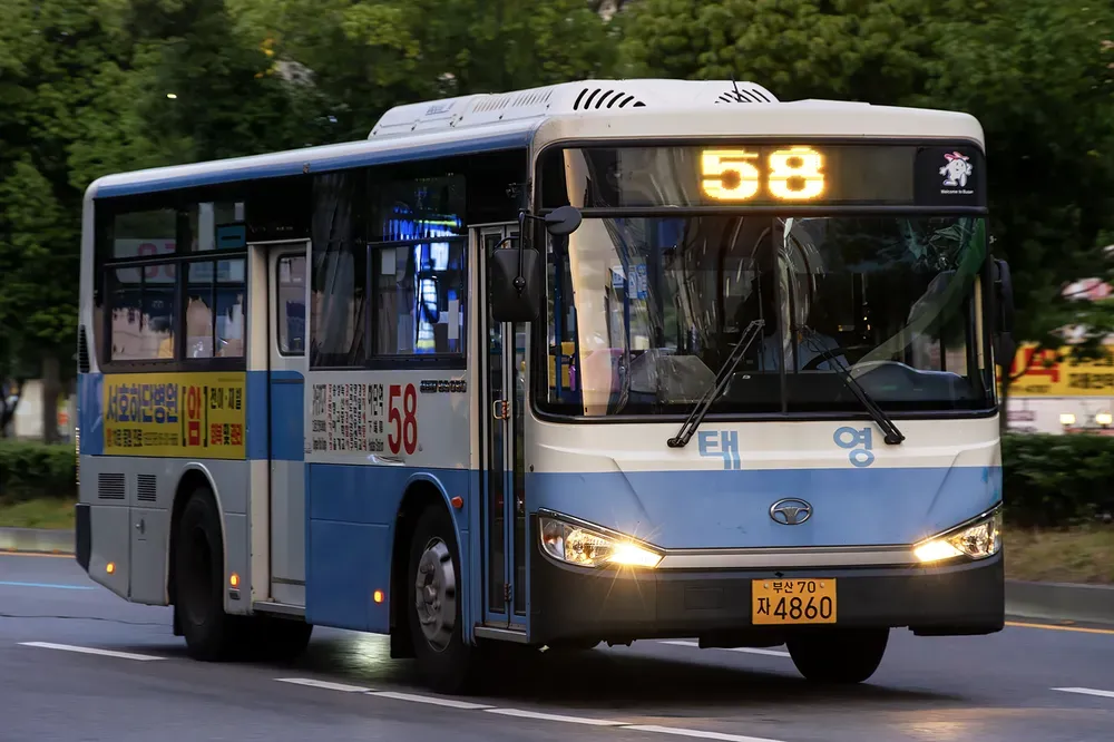 파일:부산 버스 58_구.5560.webp