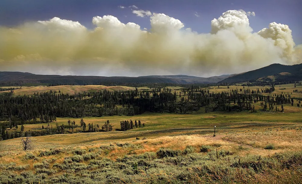 파일:Wildfire_in_Yellowstone_National_Park_produces_Pyrocumulus_clouds1.jpg