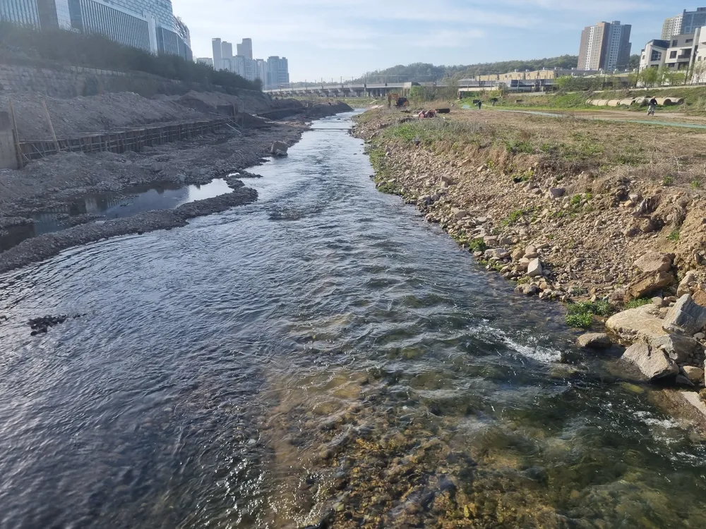 파일:창릉천 2.jpg