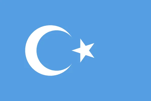 파일:위구르 기.png