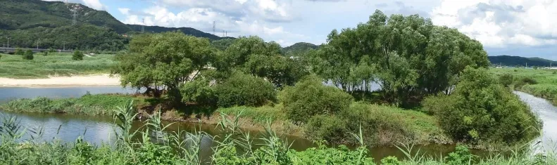 파일:소성남도.png