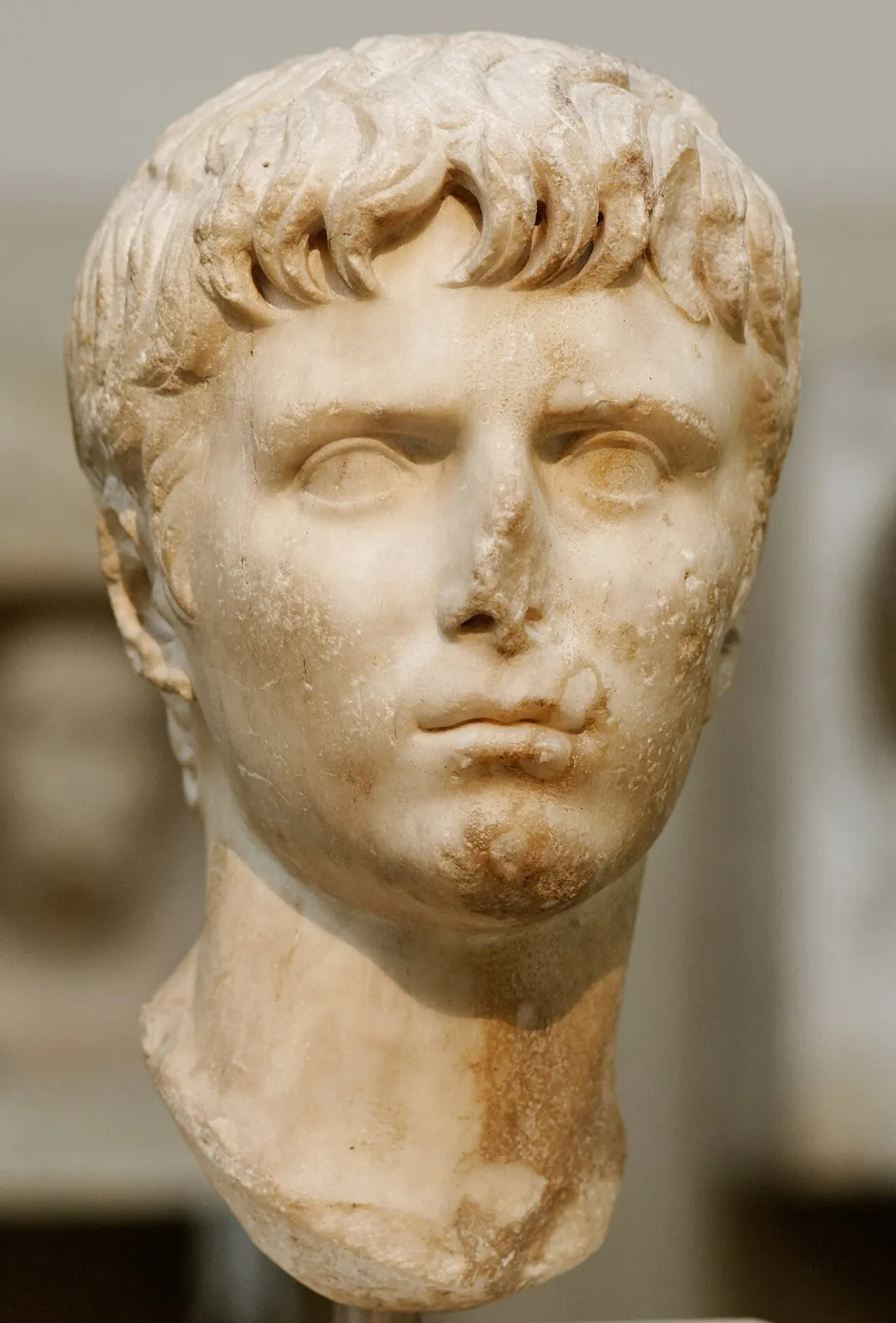 파일:가이우스 카이사르.jpg