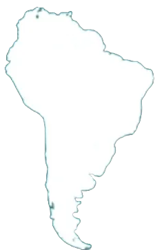 파일:남아메리카 아이콘.png