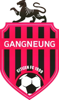 파일:FC강릉 로고.png