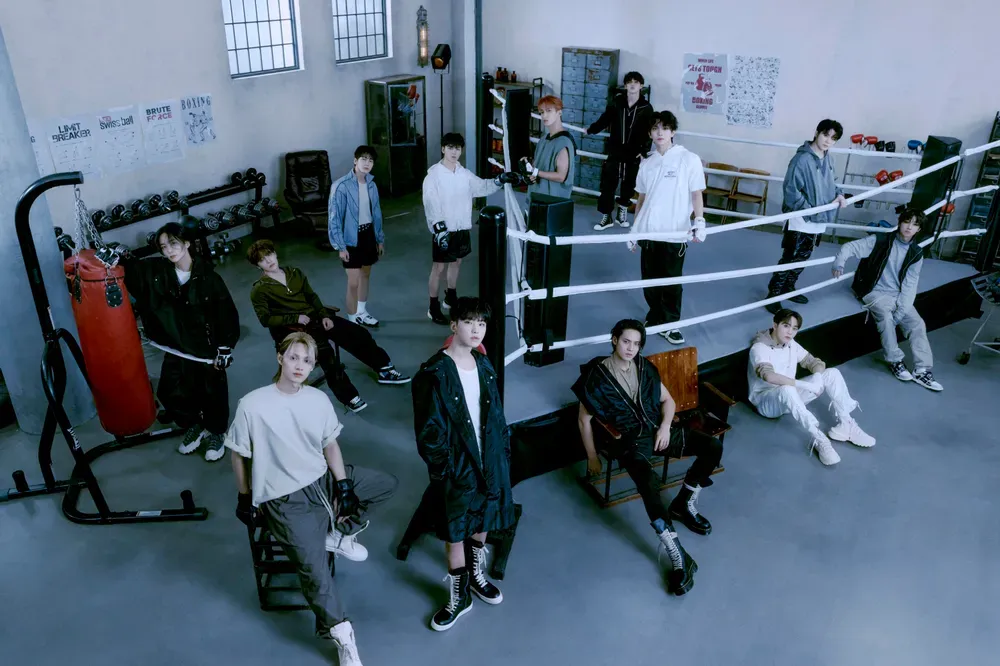 파일:세븐틴 FML fight for my life 단체 컨포.webp